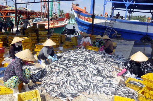 Bài 1: Chất lượng văn bản và yêu cầu "số một" của Thủ tướng