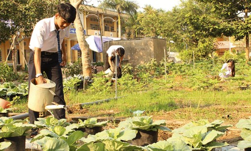 Học trải nghiệm