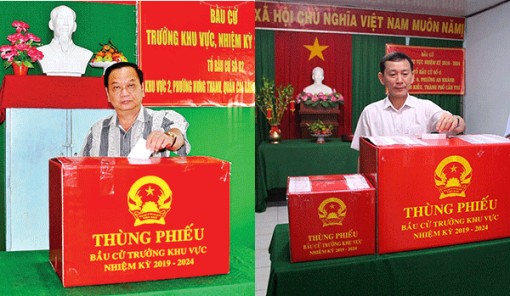 Hơn 270.000 cử tri đại diện hộ gia đình đi bầu trưở​ng ấp, khu vực