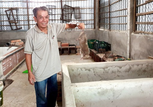 Nông dân thành thị