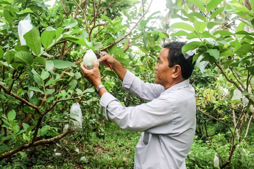 Để vùng đồng bào dân tộc Khmer ở ĐBSCL phát triển bền vững <br> Bài 2: Giải bài toán căn cơ: Giảm nghèo bền vững!