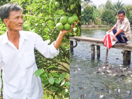 Những nông dân sản xuất, kinh doanh giỏi