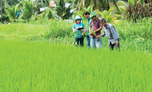 Thay đổi tập quán,

nâng cao kỹ thuật canh tác