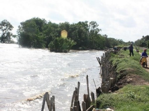 Hợp tác Việt Nam-Hà Lan về quản trị tài nguyên nước tại ĐBSCL