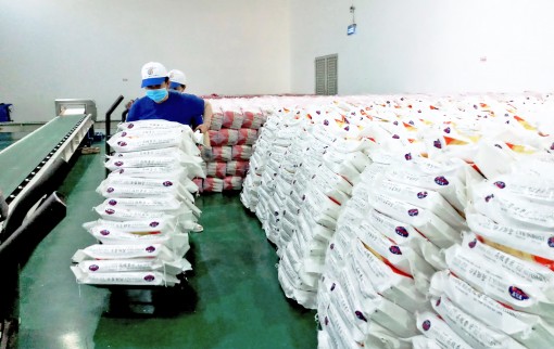 “Đòn bẩy”

  nâng tầm doanh nghiệp