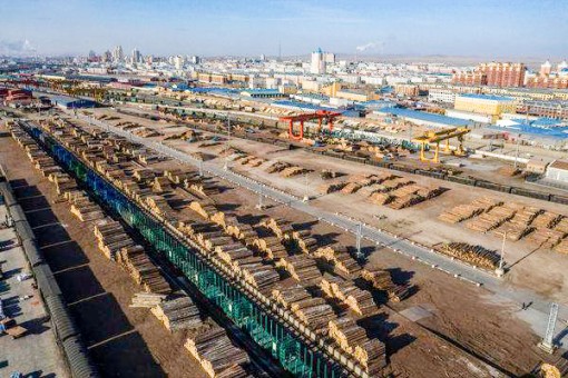 Trung Quốc bị cáo buộc “tàn phá rừng" nước ngoài