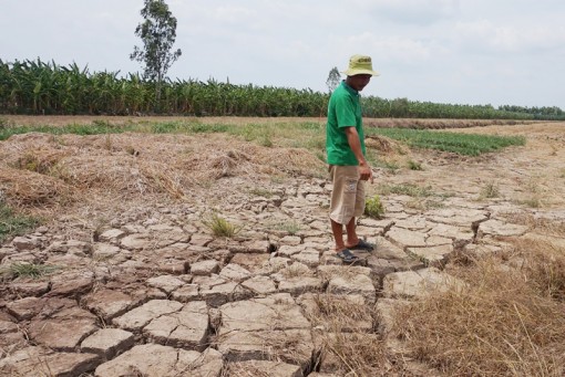 Oi bức, nóng ruột vì nước!