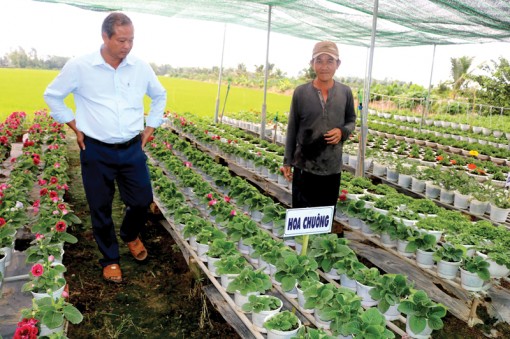 Đẩy mạnh hỗ trợ nông dân