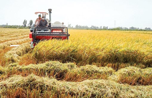 VnSAT phát huy hiệu quả ở vùng ÐBSCL