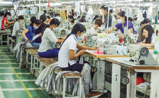 Nhiều tín hiệu khả quan!