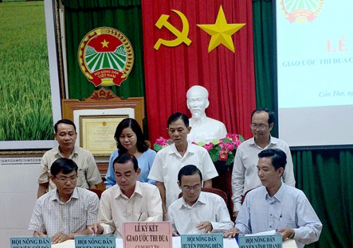 Chăm lo tốt đời sống hội viên nông dân