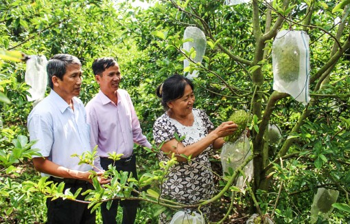 Nhiều mô hình giúp dân nâng cao đời sống