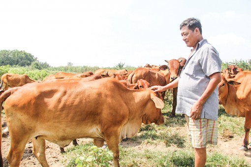 Công nghệ "3 trong 1"

quản lý chăn nuôi ĐBSCL