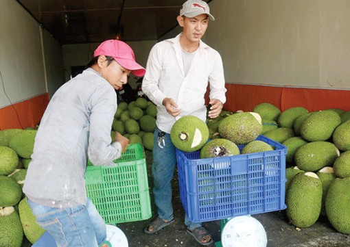 Liên kết, nâng cao chất lượng nông sản