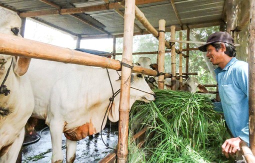 Tín dụng chính sách góp phần xây dựng nông thôn mới