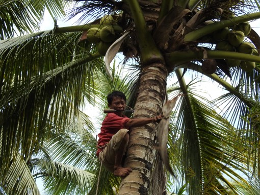 “Ăn cơm dưới đất, làm việc trên trời”
