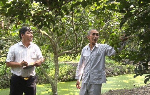 Bước chuyển ở xã Nhơn Nghĩa