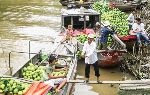 Ðột phá xây dựng vùng nông nghiệp đặc trưng, quy mô lớn