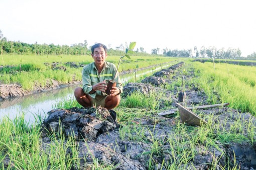 Đừng để phải “giải cứu” trái mít Thái