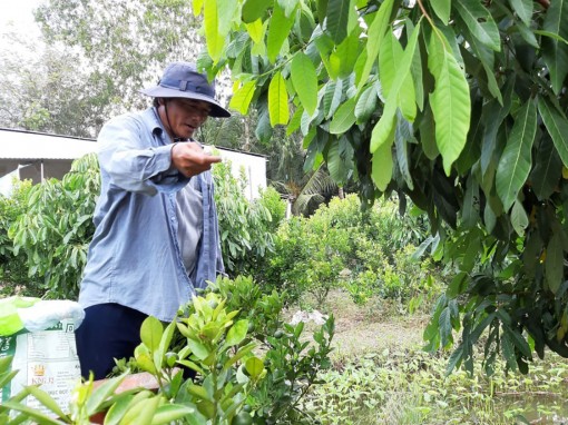 Tấm lòng ông Hải