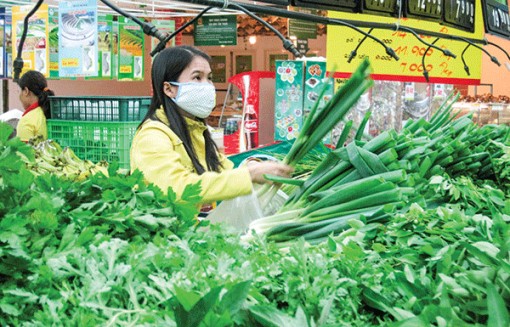 Bắt "nhịp" thị trường cho sản phẩm nông nghiệp