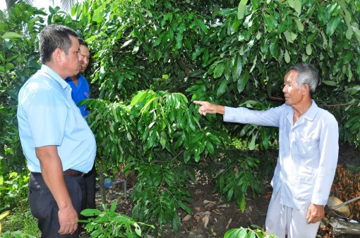 Phát huy vai trò hạt nhân lãnh đạo