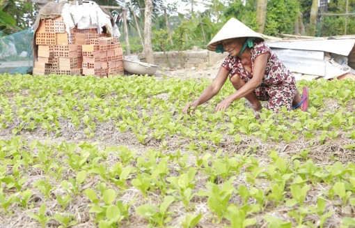 គិត​​គូរ​ជីវ​ភាព​ជន​រួម​ជា​តិ​ខ្មែរ​