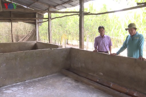 Địa phương đầu tiên ở ĐBSCL xuất hiện dịch tả heo châu Phi