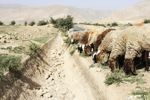 Biến đổi khí hậu làm gia tăng xung đột ở Trung Đông