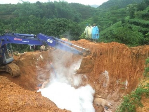 Ban Bí thư ban hành Chỉ thị về phòng, chống dịch tả heo châu Phi