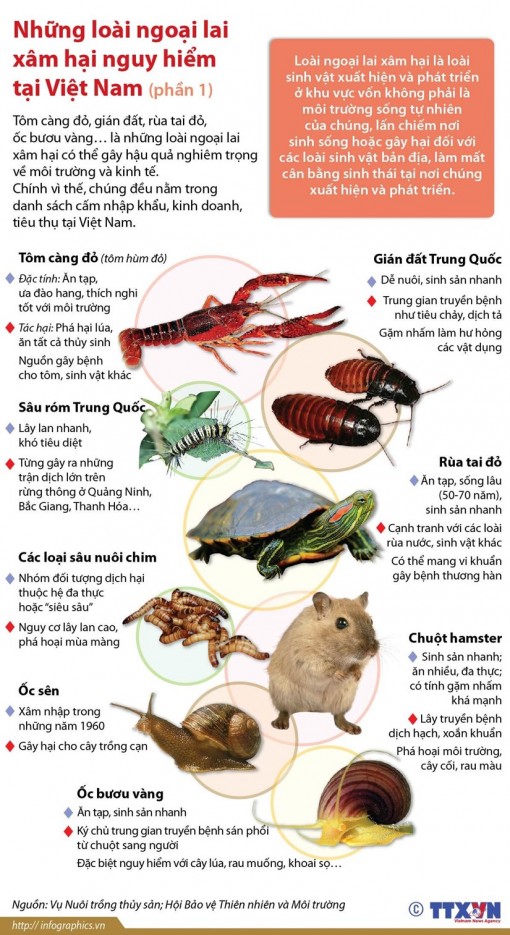Những loài động vật ngoại lai xâm hại nguy hiểm tại Việt Nam