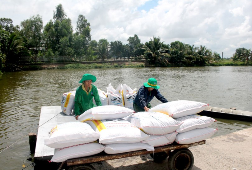 Thiết thực hưởng ứng phong trào ưu tiên hàng việt Thiết thực hưởng ứng phong trào ưu tiên hàng việt