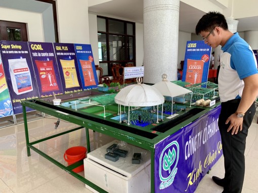 Giải pháp giảm chi phí sản xuất tôm nước lợ