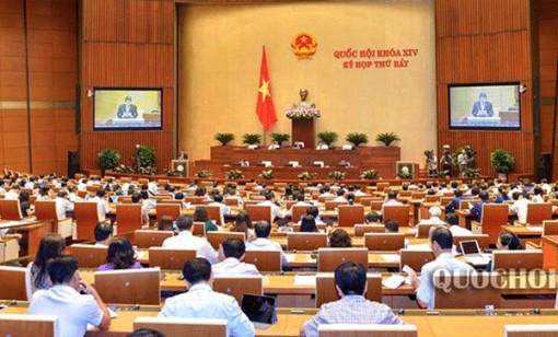 Thảo luận 3 dự án Luật