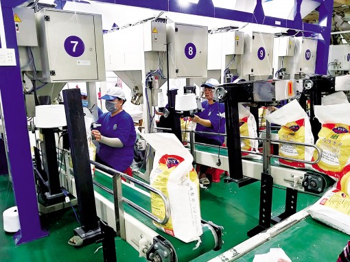 Dấu ấn “Vietnam Rice”