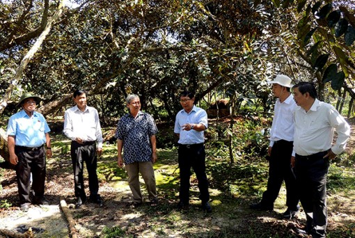 Phát triển kinh tế hợp tác, tổ chức lại sản xuất