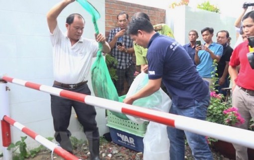 Bàn giao cặp rắn hổ mây cho kiểm lâm tỉnh An Giang để thả về rừng