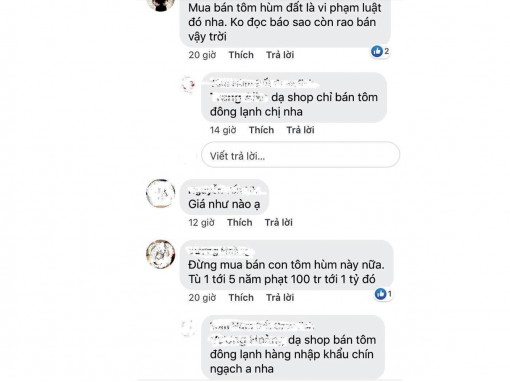 Mối nguy tôm hùm đất…