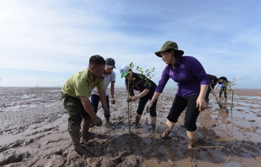 Tỉnh Bạc Liêu phát động ra quân trồng rừng phòng hộ ven biển