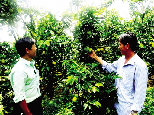 Minh bạch từ trang trại đến bàn ăn