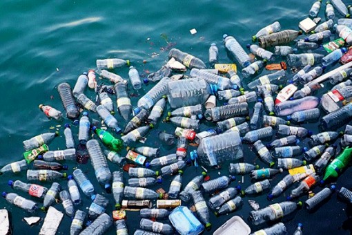 Con người hít phải hàng chục ngàn hạt nhựa siêu nhỏ mỗi năm