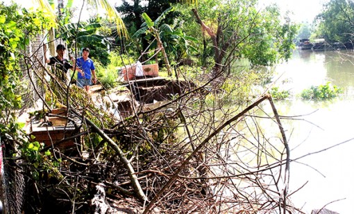 Chủ động ứng phó thiên tai