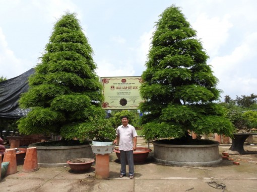 Cặp me kỷ lục ở “vương quốc hoa” miền Tây