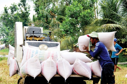 Kết dính “4 nhà”