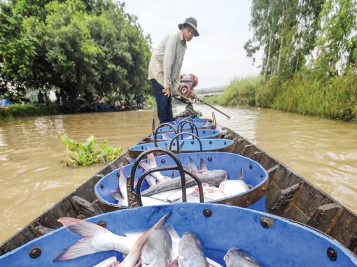 Chuỗi cung ứng toàn cầu cần trách nhiệm xã hội