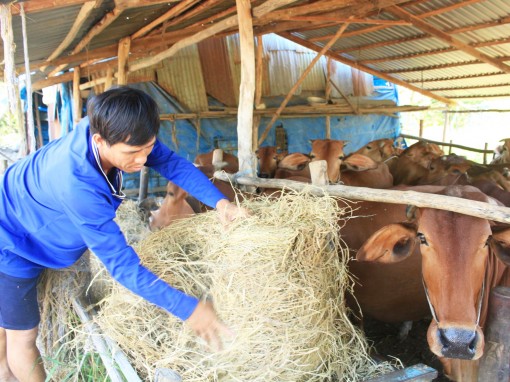 Sáng tạo giúp bà con Khmer thoát nghèo bền vững