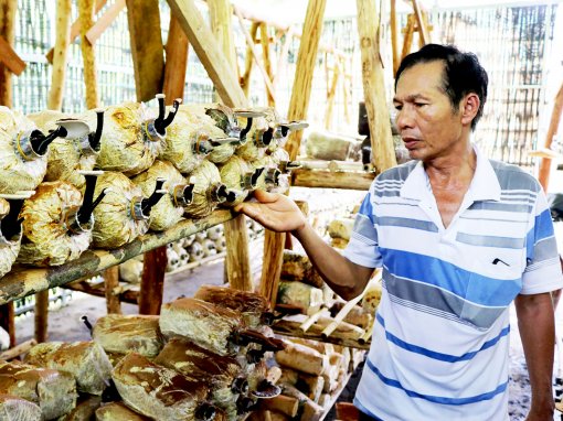 Ngăn chặn suy giảm và suy thoái đa dạng sinh học ở Việt Nam