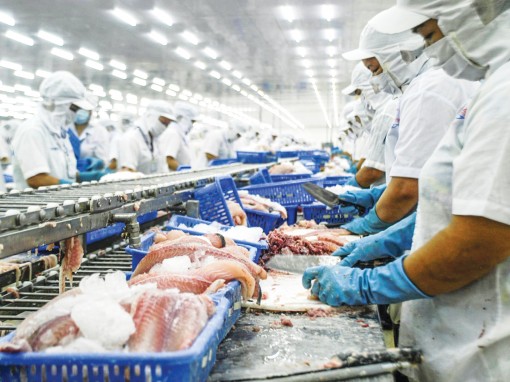 Để doanh nghiệp vững tin trước những "va chạm"