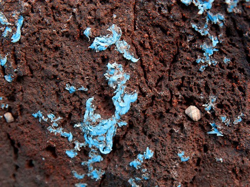 Phát hiện loại ô nhiễm

nhựa mới trên biển