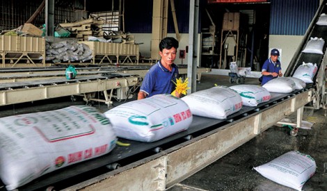 Doanh nghiệp xuất khẩu gạo cần thích ứng